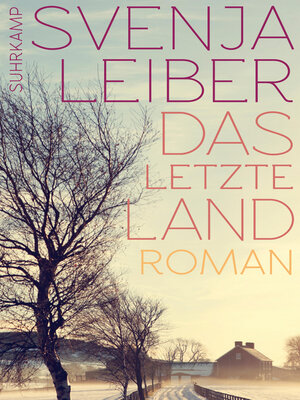 cover image of Das letzte Land